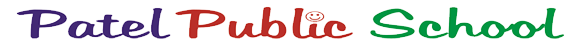 pps logo